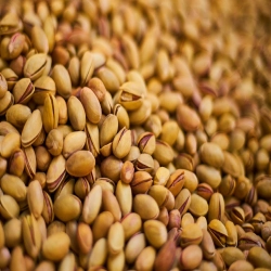 سردخانه پسته