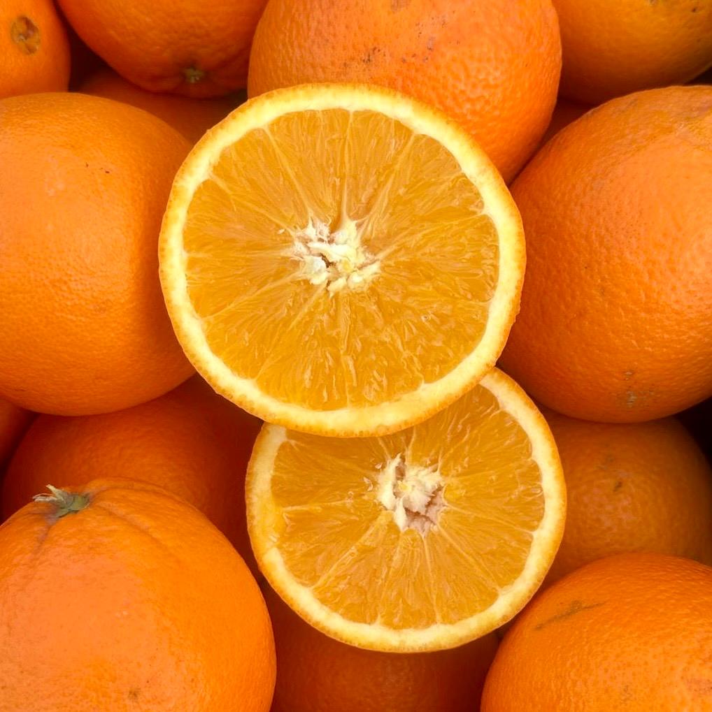 سردخانه پرتقال